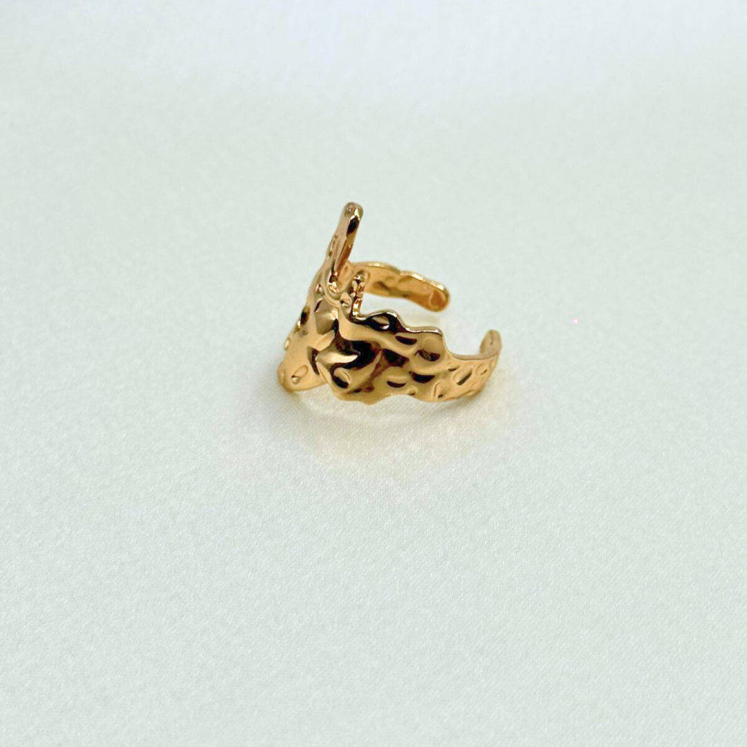 Meltform Sculpt Ring (BUY1GET1)