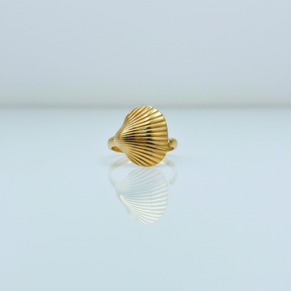Helix Shell Ring (BUY1GET1)