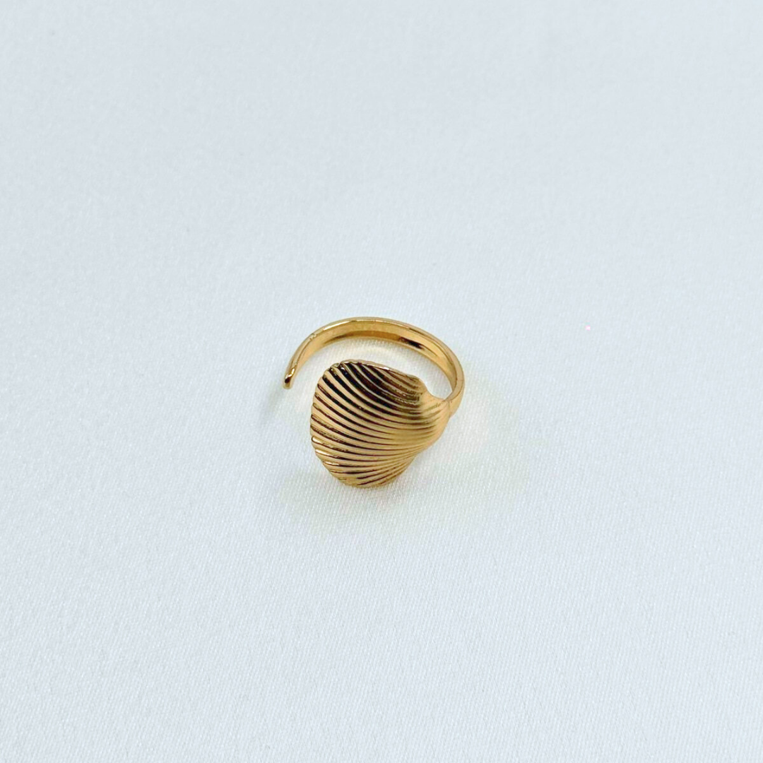 Helix Shell Ring (BUY1GET1)