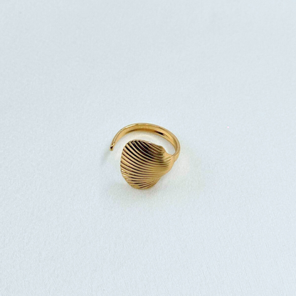 Helix Shell Ring (BUY1GET1)
