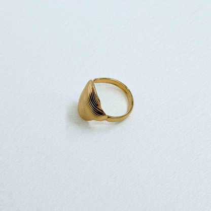 Helix Shell Ring (BUY1GET1)
