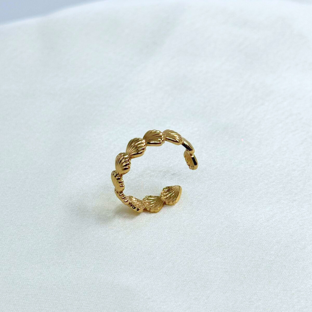 Celeste Shell Band Ring (BUY1GET1)